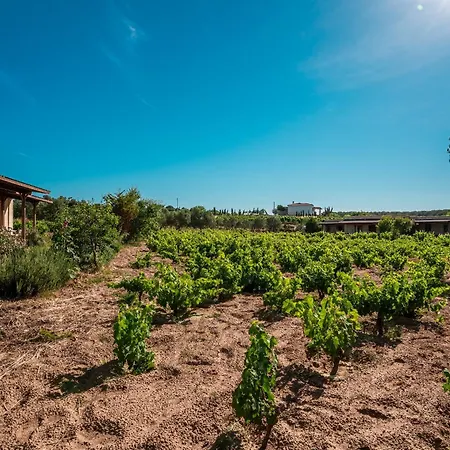 Bagbadem Tatil Ciftligi Bozcaada