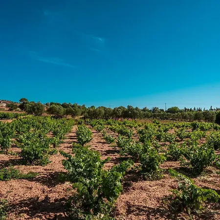 Bagbadem Tatil Ciftligi