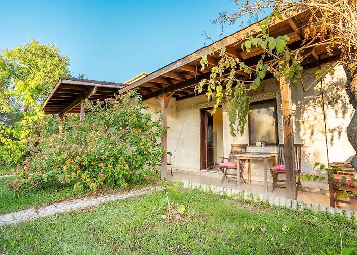 컨트리하우스 Bagbadem Tatil Ciftligi 보즈자아다