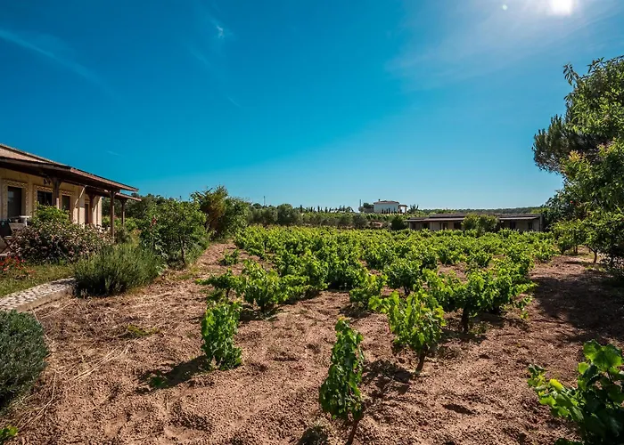 Bagbadem Tatil Ciftligi 보즈자아다