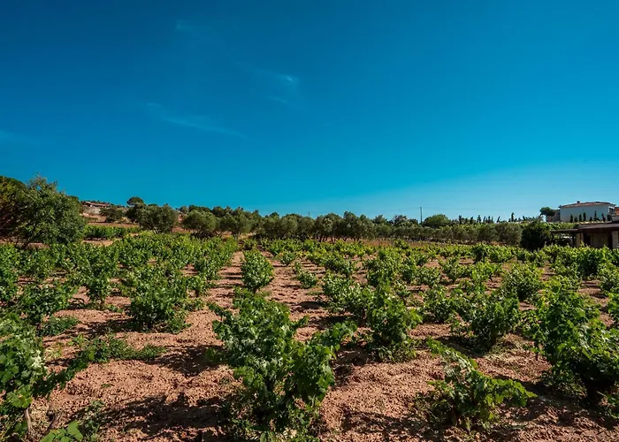 Bagbadem Tatil Ciftligi
